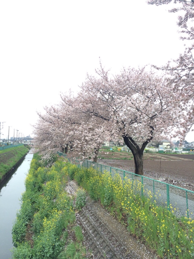 入社式＊。のイメージ