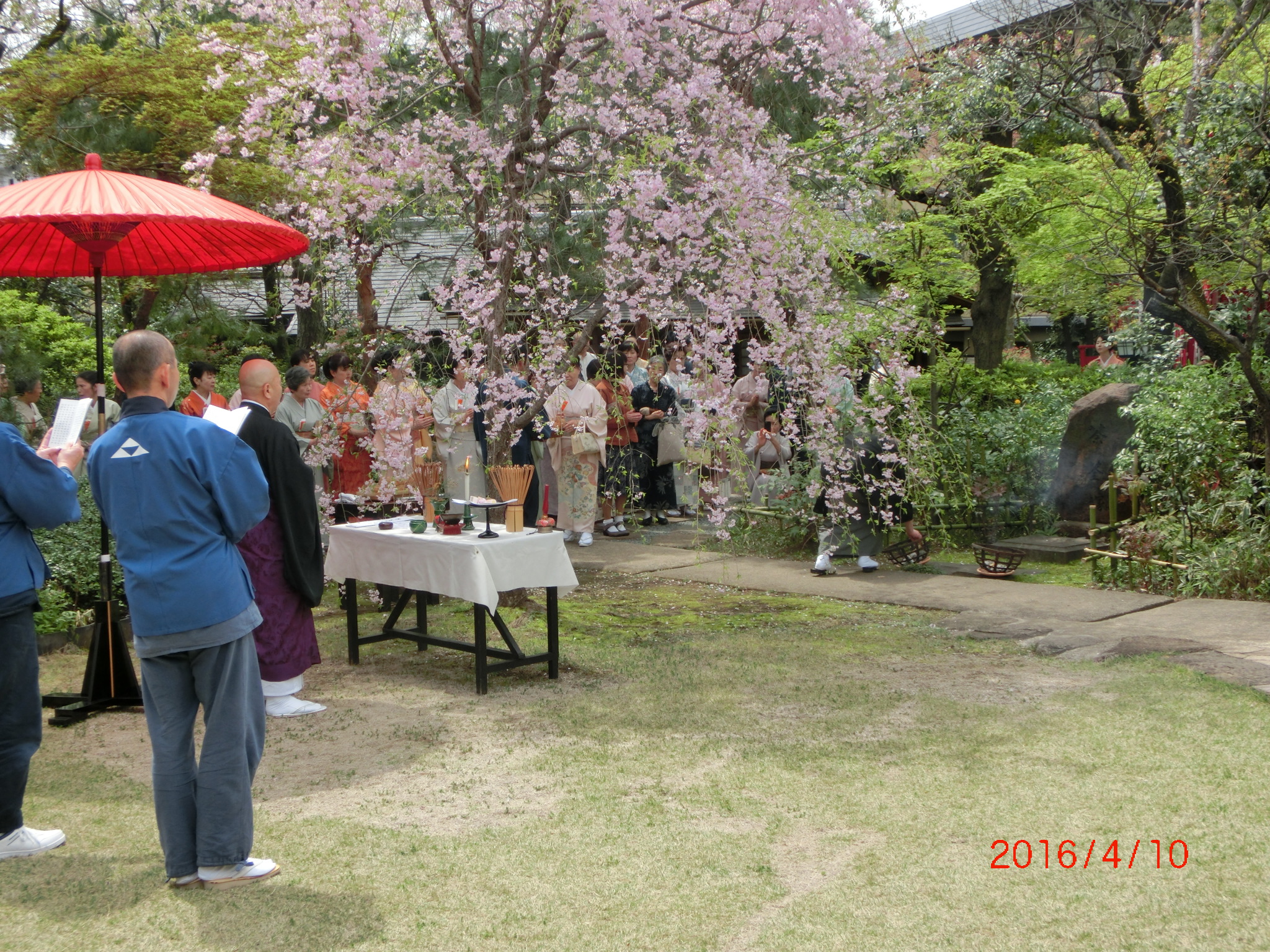 『桜下茶筅供養茶会』のイメージ