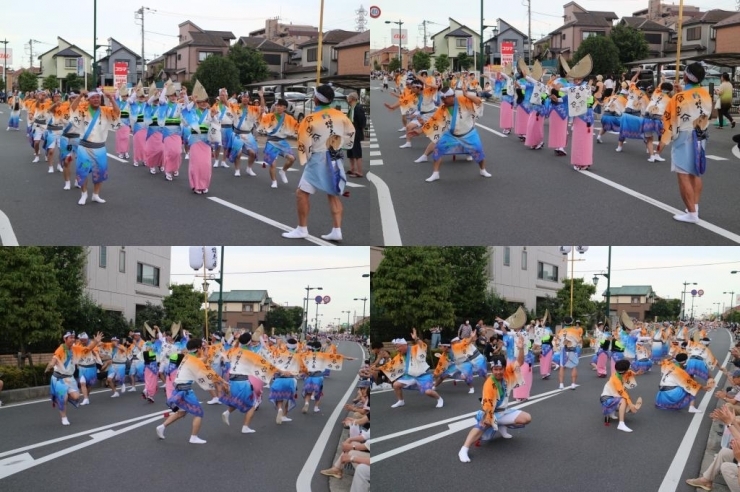 阿波踊り＊。のイメージ